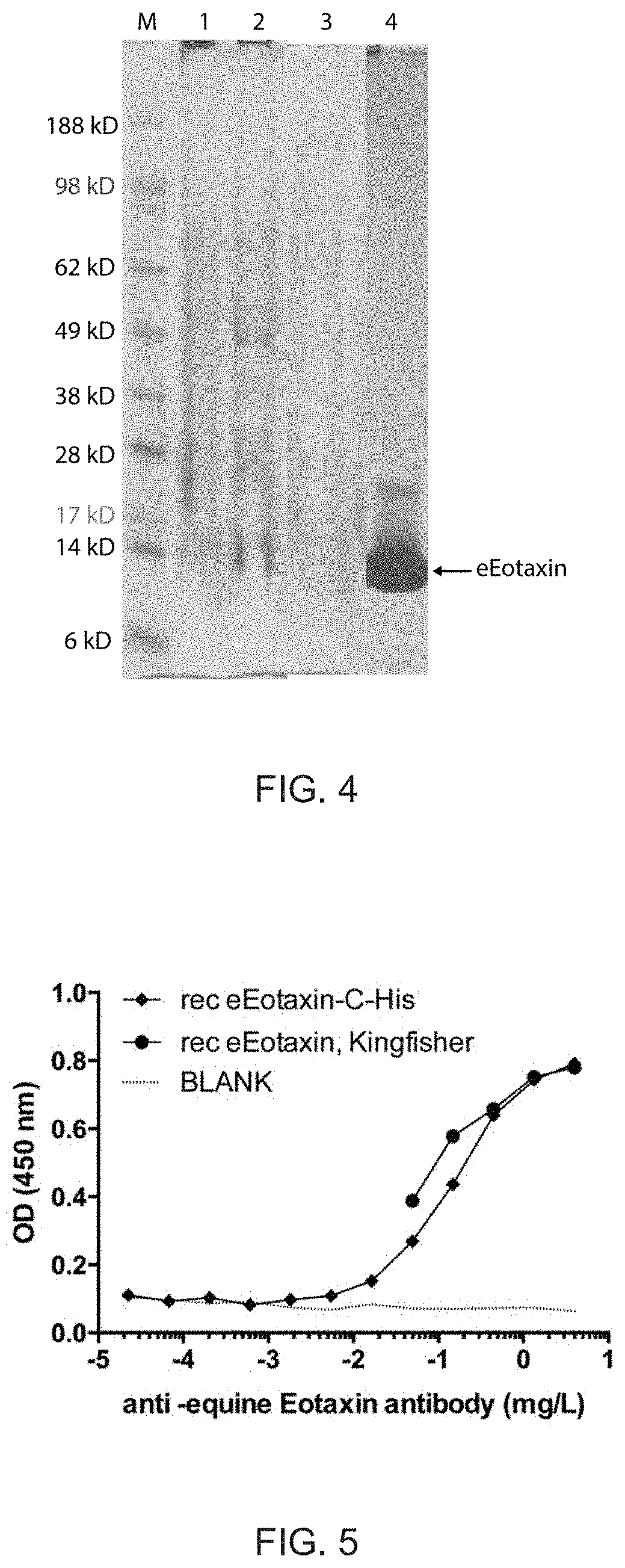 Treatment of insect bite hypersensitivity