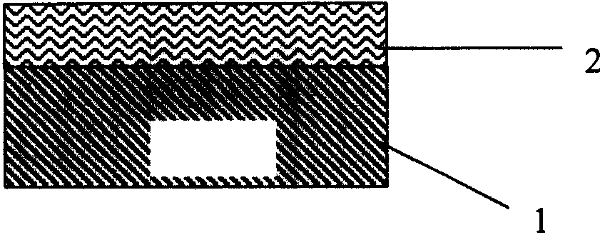 Photoetching method for nanoparticle pattern based on self organization