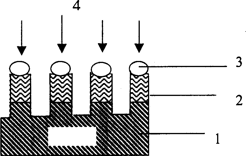 Photoetching method for nanoparticle pattern based on self organization