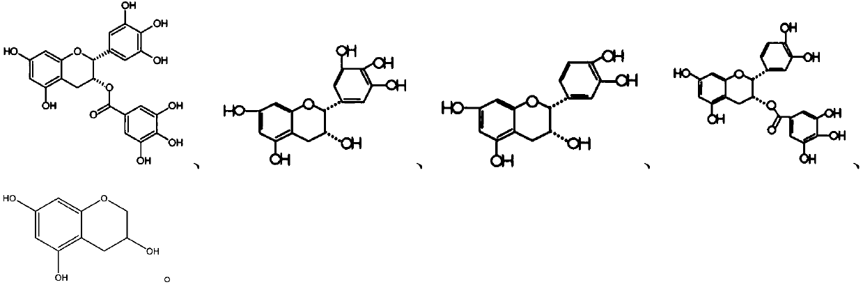 Lithium ion battery electrolyte and lithium ion battery