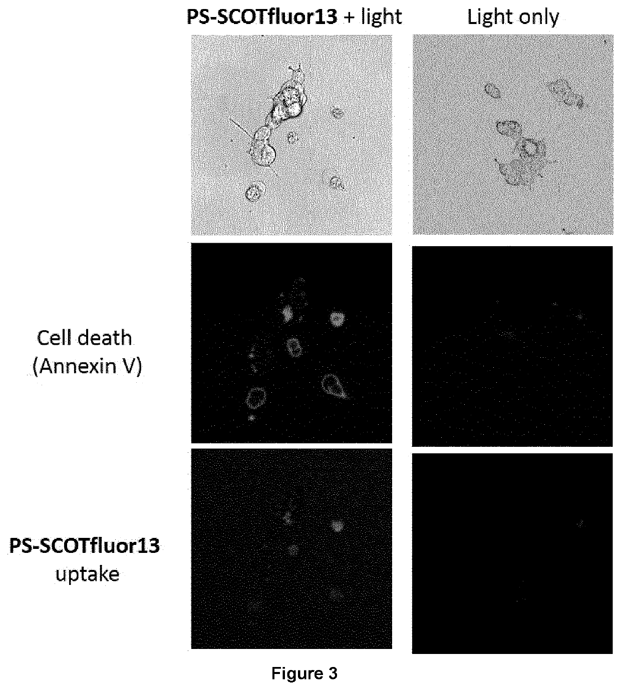 Small molecule photosensitizers for photodynamic therapy