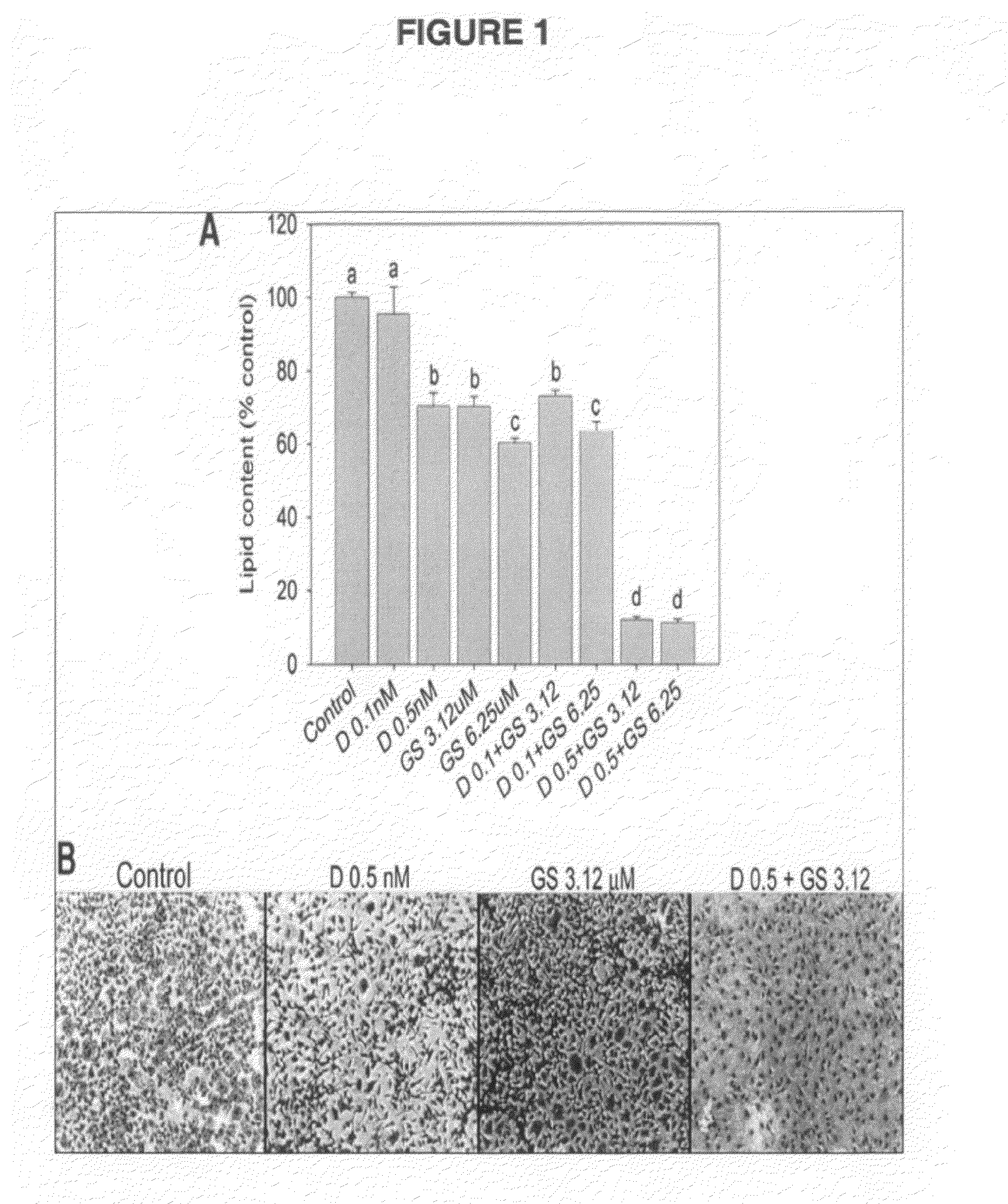 Compositions and methods of the treatment of obesity and osteoporosis