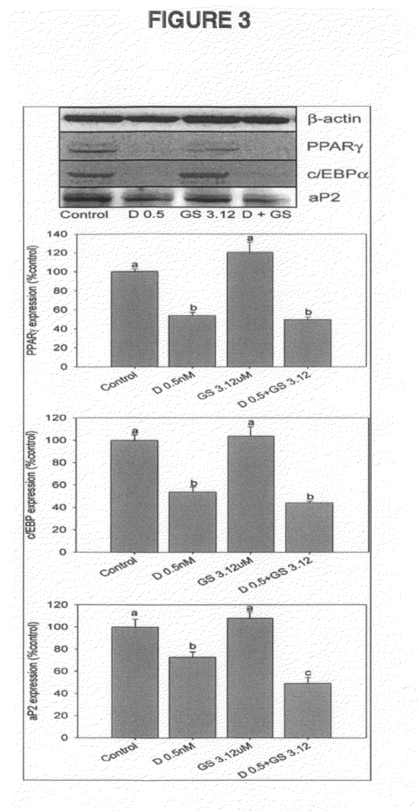 Compositions and methods of the treatment of obesity and osteoporosis