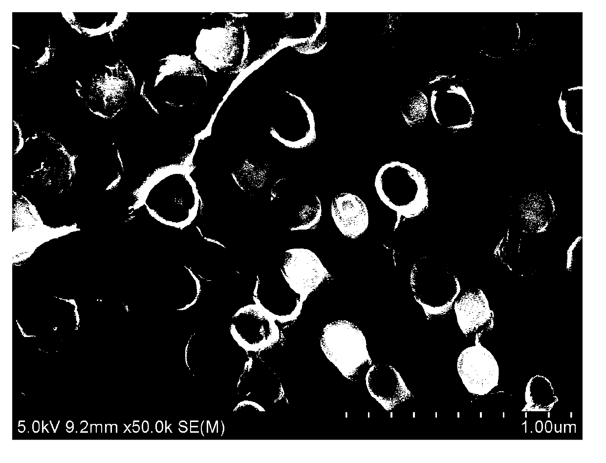 Method for preparing boron carbon nitride nanotube with high oxygen reduction catalytic activity