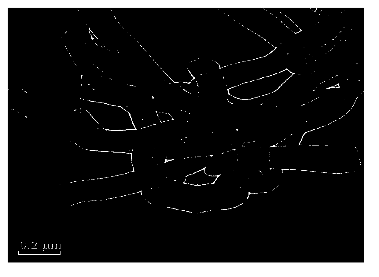 Method for preparing boron carbon nitride nanotube with high oxygen reduction catalytic activity