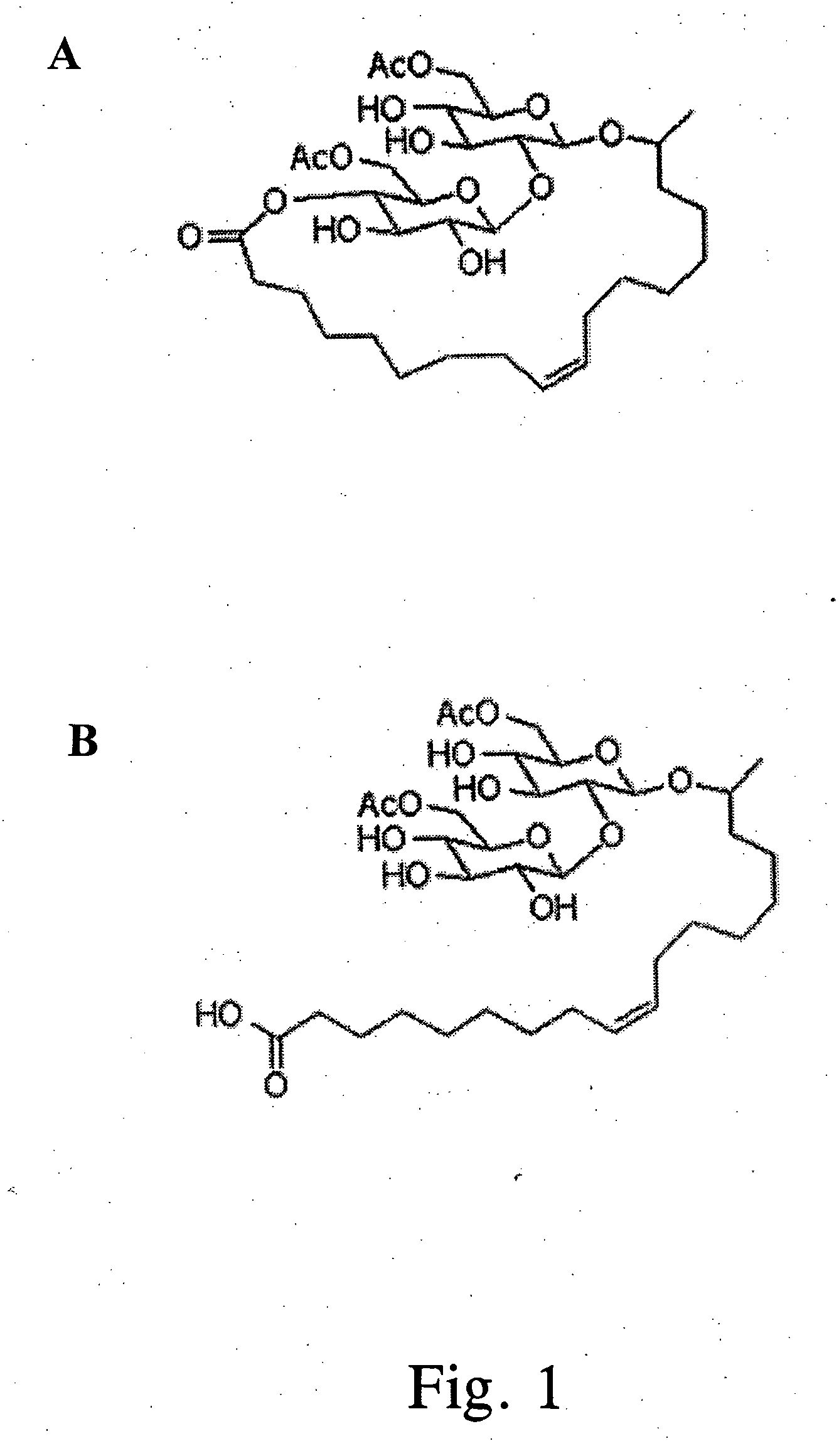 Production of open-chained sophorolipids