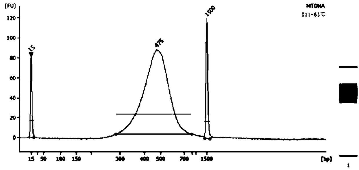 Method for quickly detecting mitochondrial gene mutation or deficiency in high-flux mode