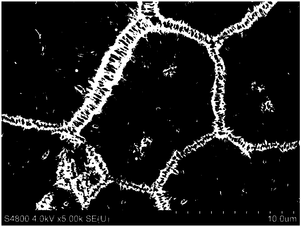 Mixture applied to reactivity coagulating bath and application thereof