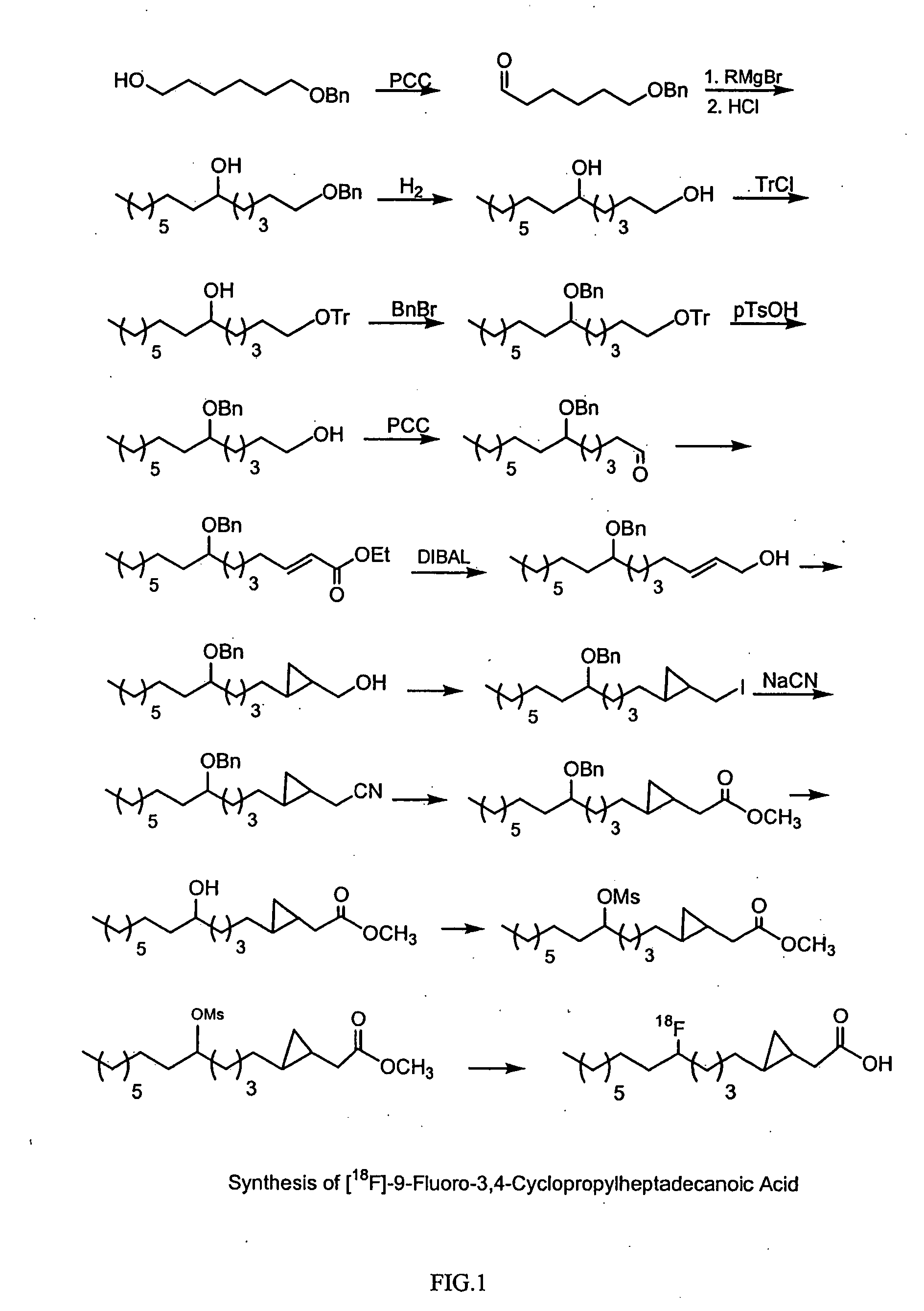 Method for monitoring blood flow and metabolic uptake in tissue with radiolabeled alkanoic acid