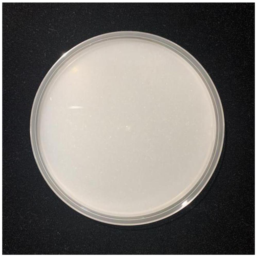 Phosphorus solubilizing bacterium 3-1 and application thereof in production of plant growth hormone