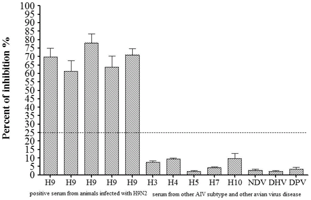 Anti-H9 subtype avian influenza virus monoclonal antibody, hybridoma cell strain and application of monoclonal antibody