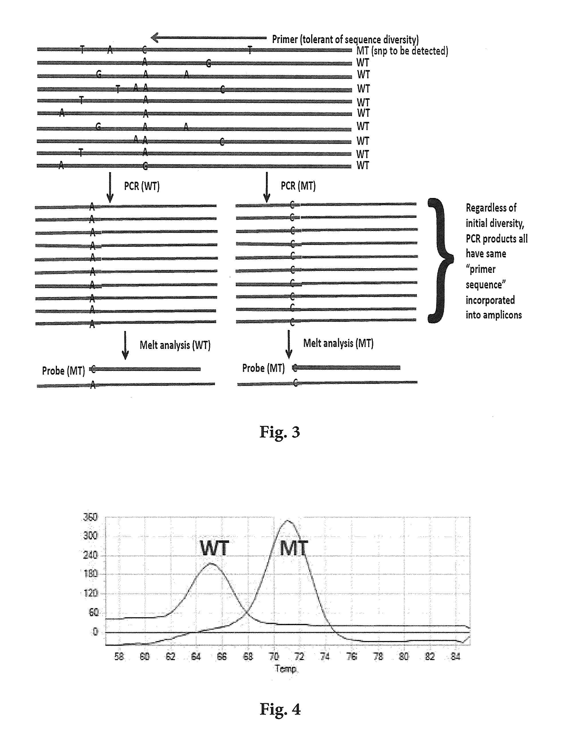 Detecting Single Nucleotide Polymorphism Using Overlapped Primer and Melting Probe