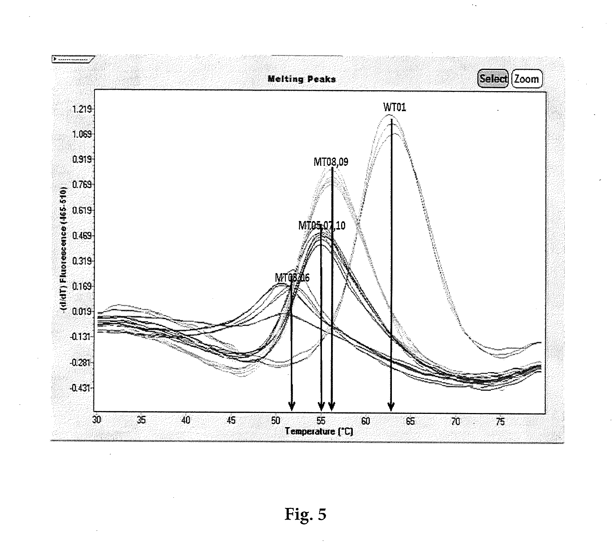 Detecting Single Nucleotide Polymorphism Using Overlapped Primer and Melting Probe