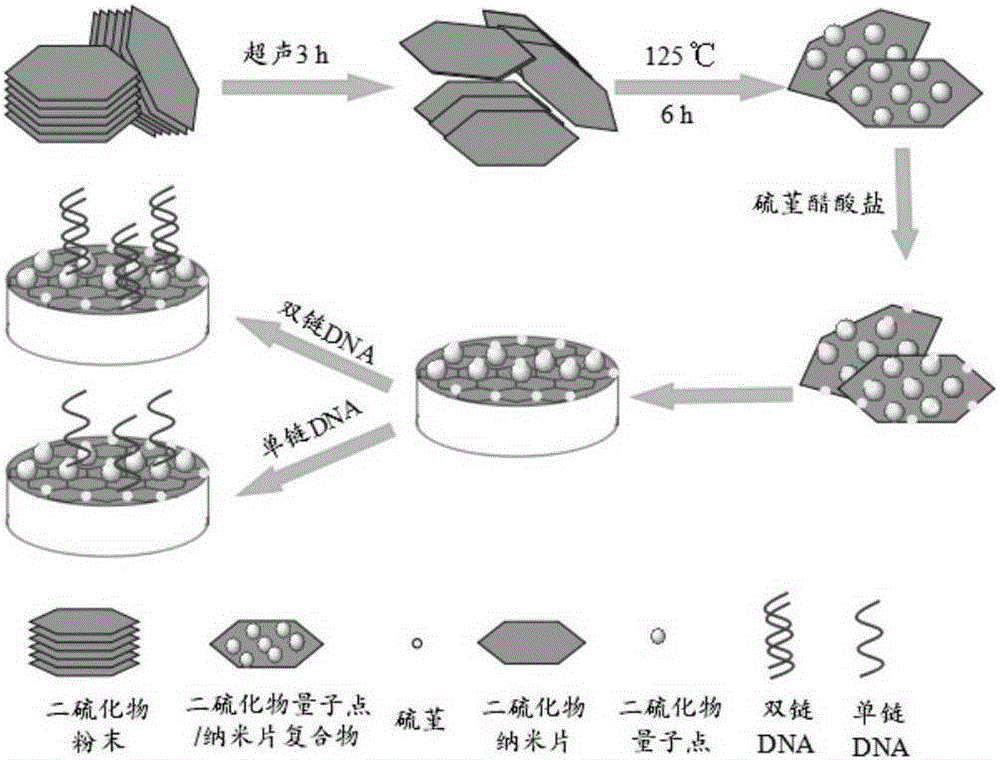 Disulfide dot/nanosheet composite dna electrochemical probe and its preparation method and application