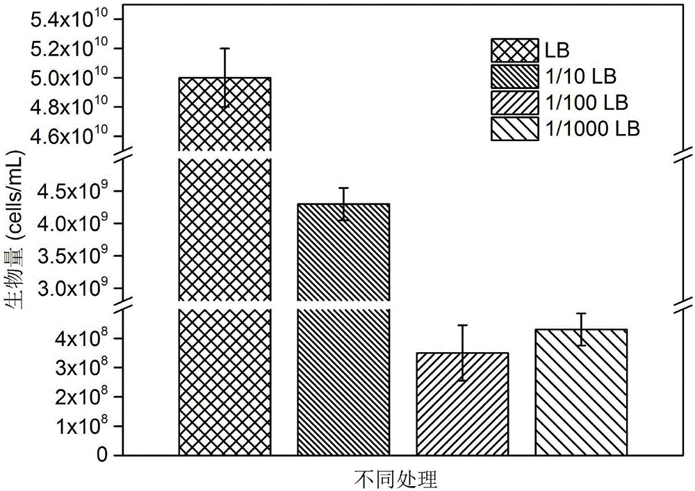 Screening and application of polybrominated diphenyl ethers (PBDEs) degrading bacterium