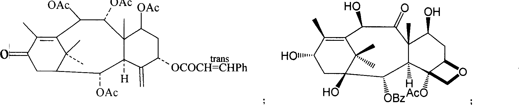 Yew genus plant extract and its extraction method and application