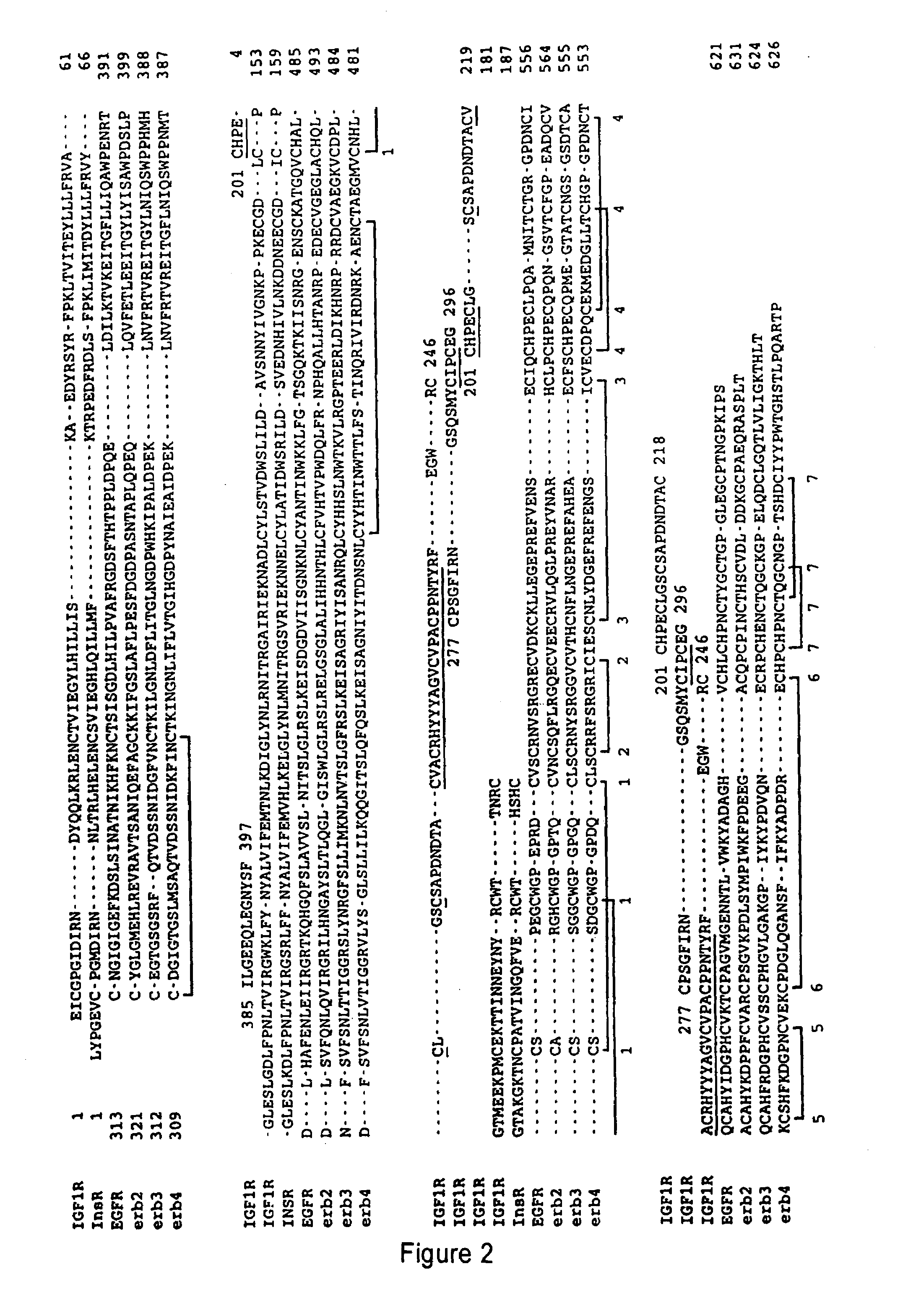 Method of designing agonists and antagonists to EGF receptor family