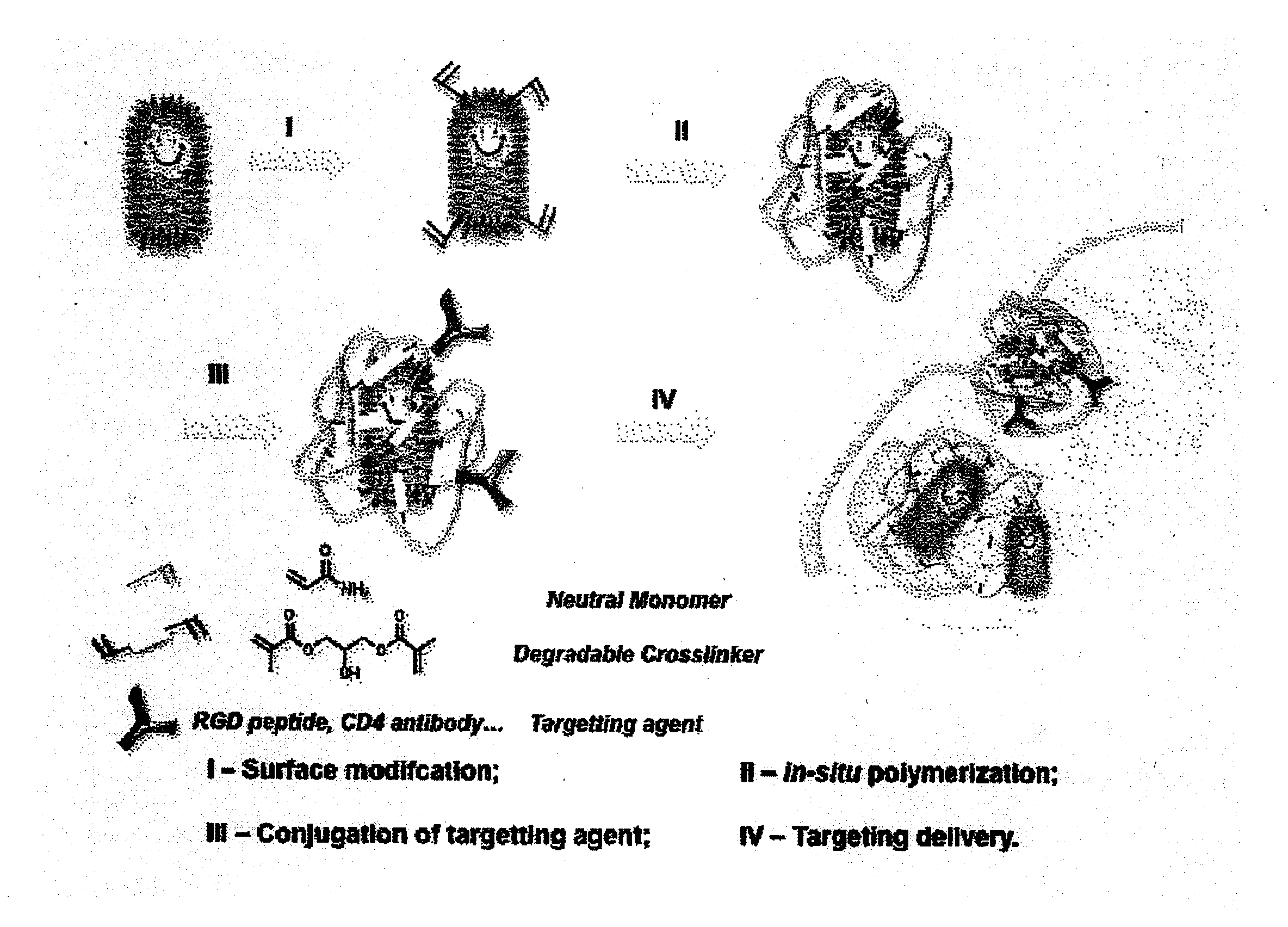 Viral vector nanocapsule for targeting gene therapy and its preparation