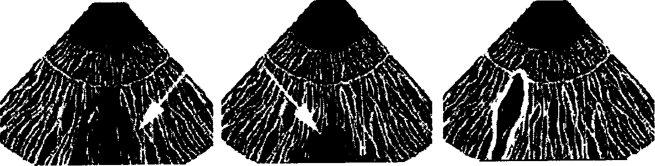 Iris geometrical property extracting method based on property edge distribution