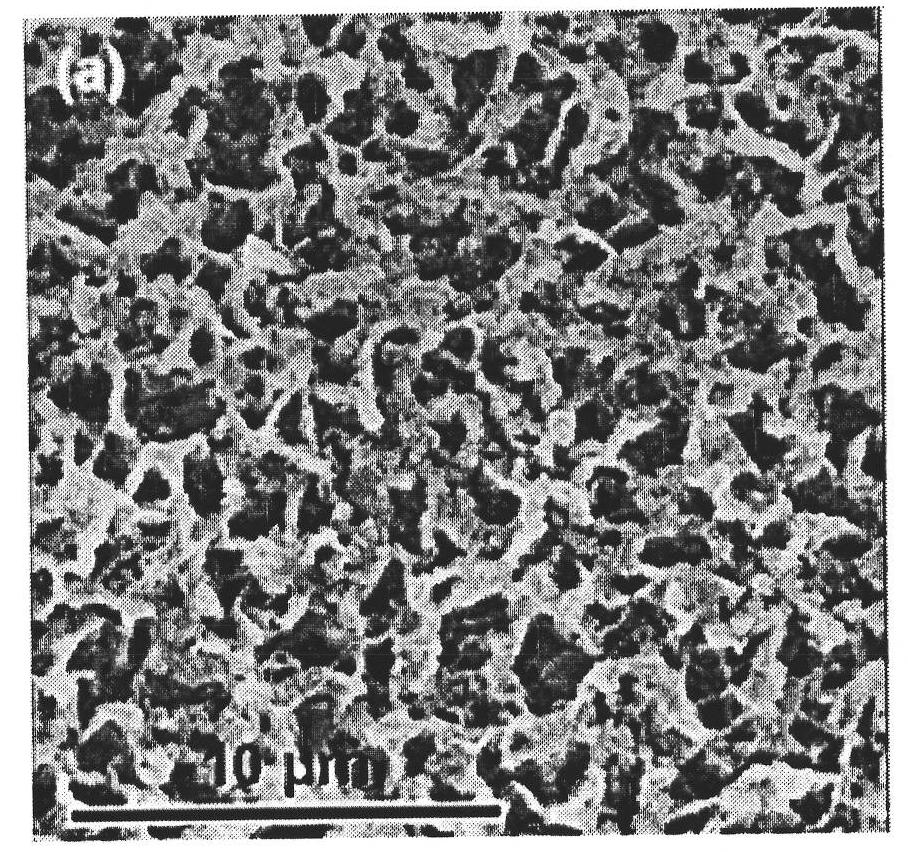 Spongy quantum dot solar cell and preparation method thereof