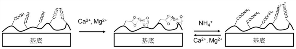 Preparation method of polymer for auxiliary reaction in seawater desalination reaction