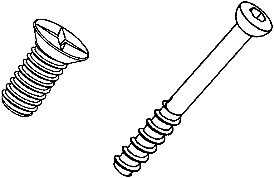 Spider silk protein bone nails and preparation method thereof