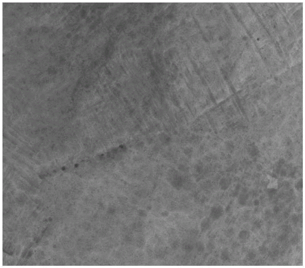 Preparation method of porous biological activity ceramic film on surface of porous pure titanium or titanium alloy with lattice structure and application thereof