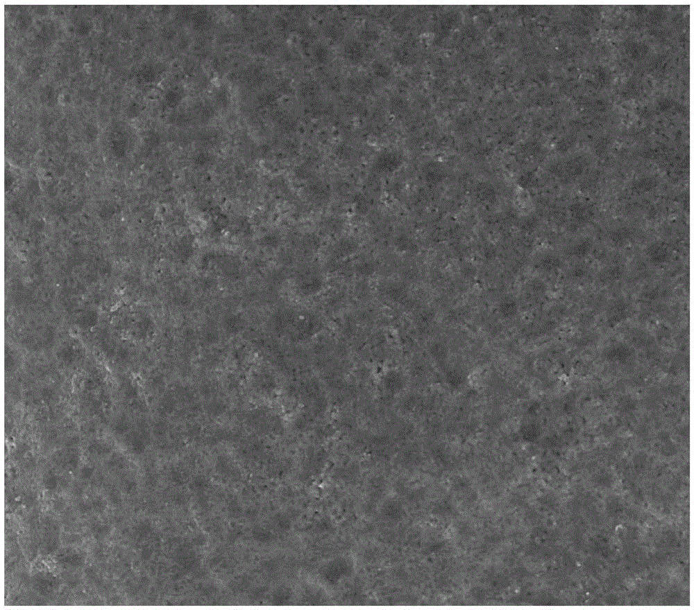 Preparation method of porous biological activity ceramic film on surface of porous pure titanium or titanium alloy with lattice structure and application thereof