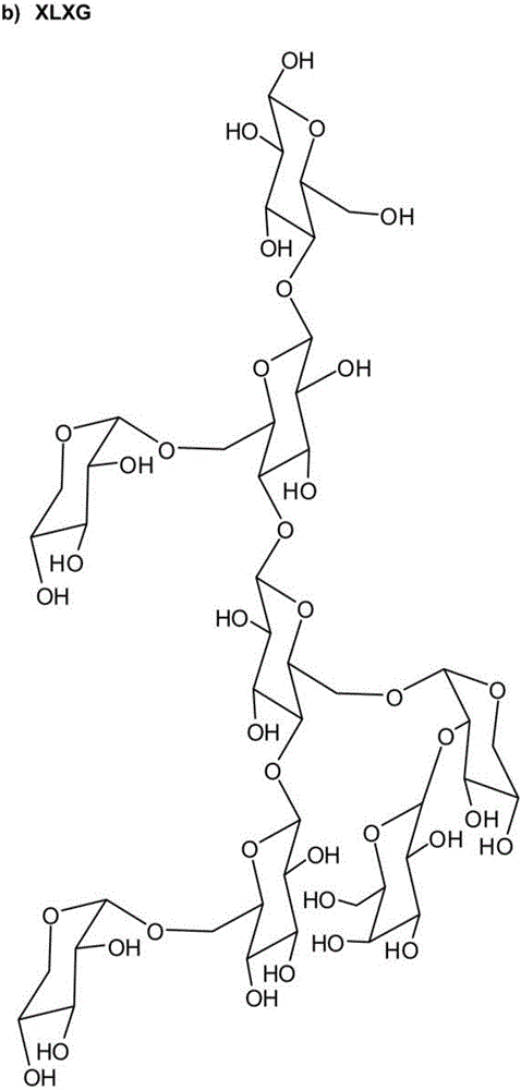 Xyloglucan film