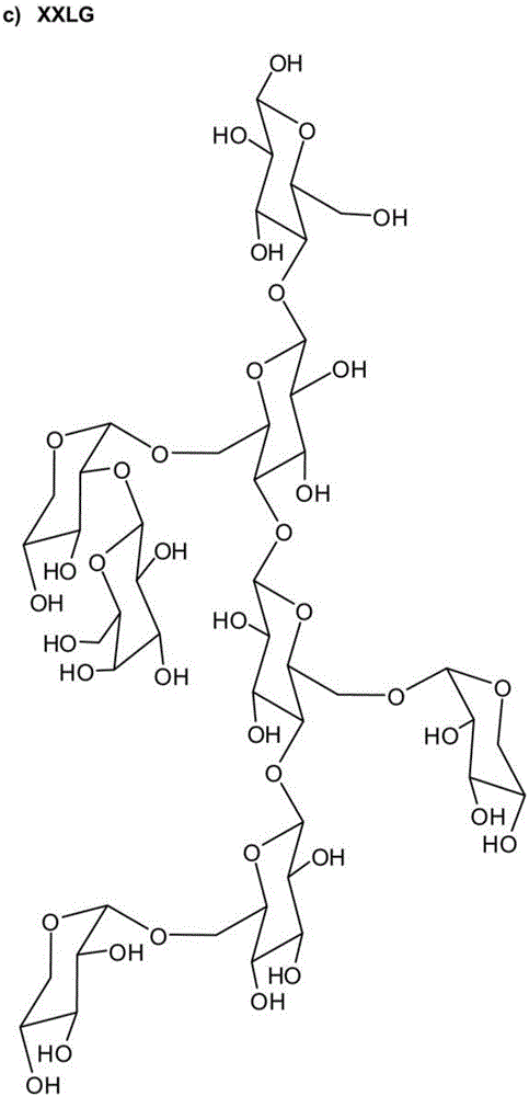 Xyloglucan film