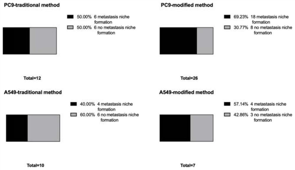 Construction method of novel carotid artery injection brain metastatic tumor animal model