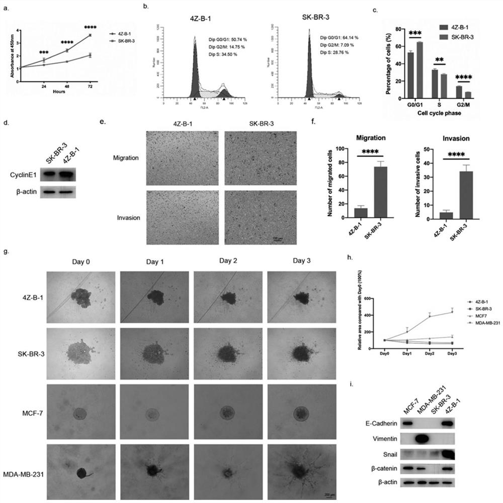 Human breast cancer pleural effusion metastasis cell line and its application