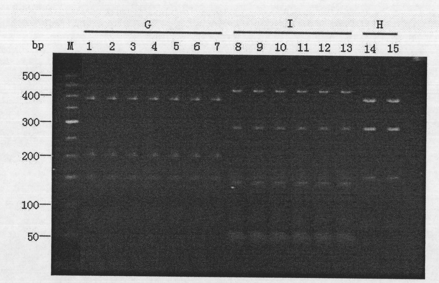 Method for detecting burkholderia cepacia flora on fruits or vegetables and identifying seeds