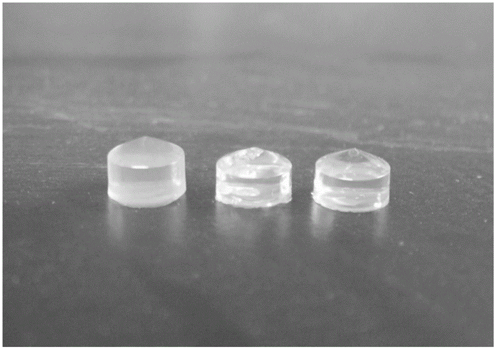 A photocuring preparation method of rare earth bonded fluorescent gel glass