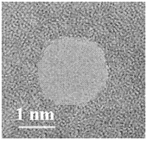 A high-resolution biosensor