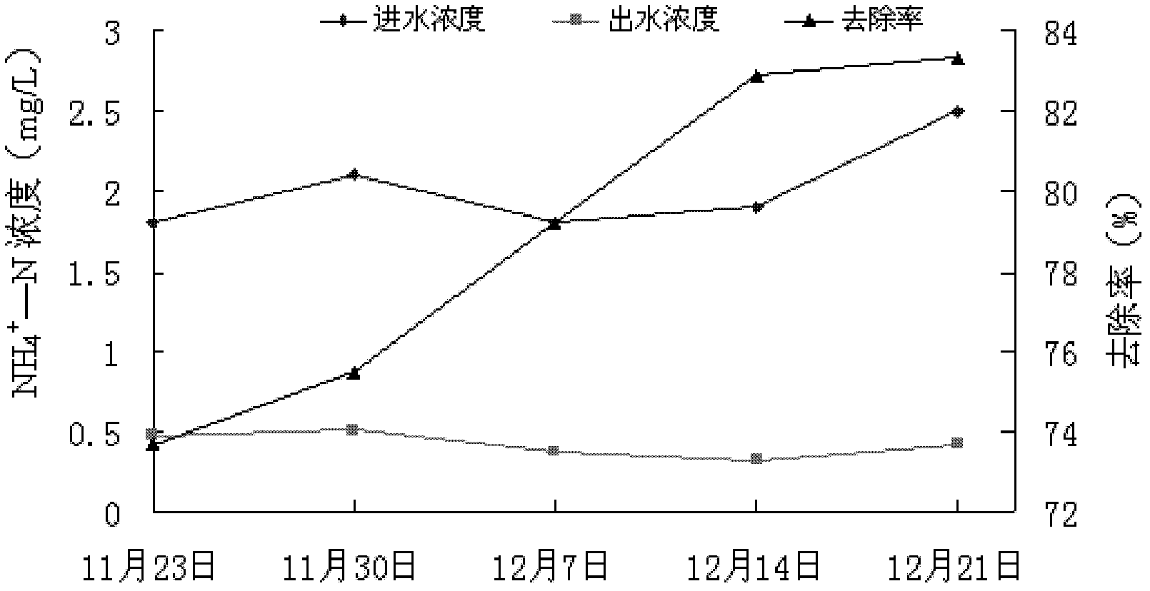 Application of aucuba japonica variegates in purifying of livestock and poultry breeding biogas slurry