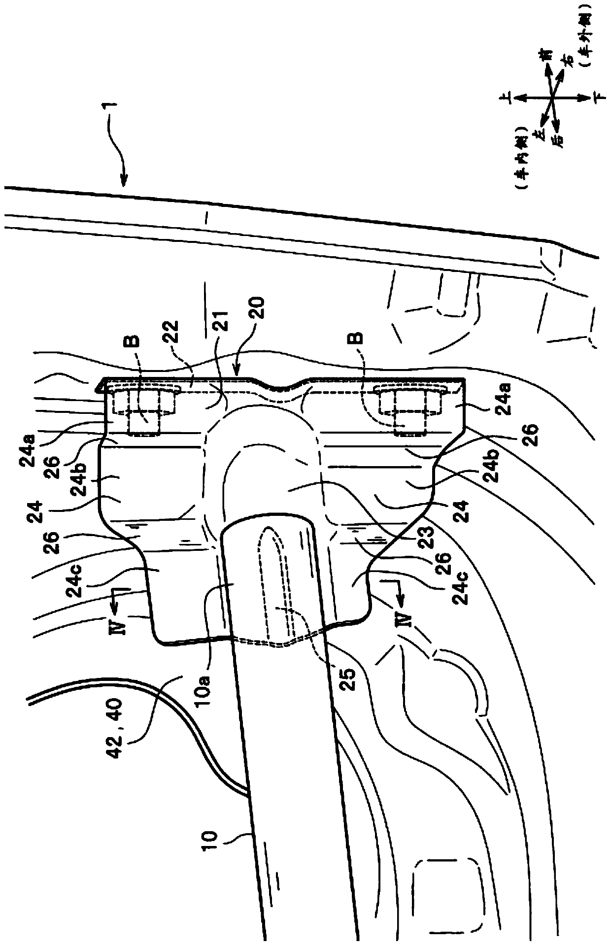 body structure