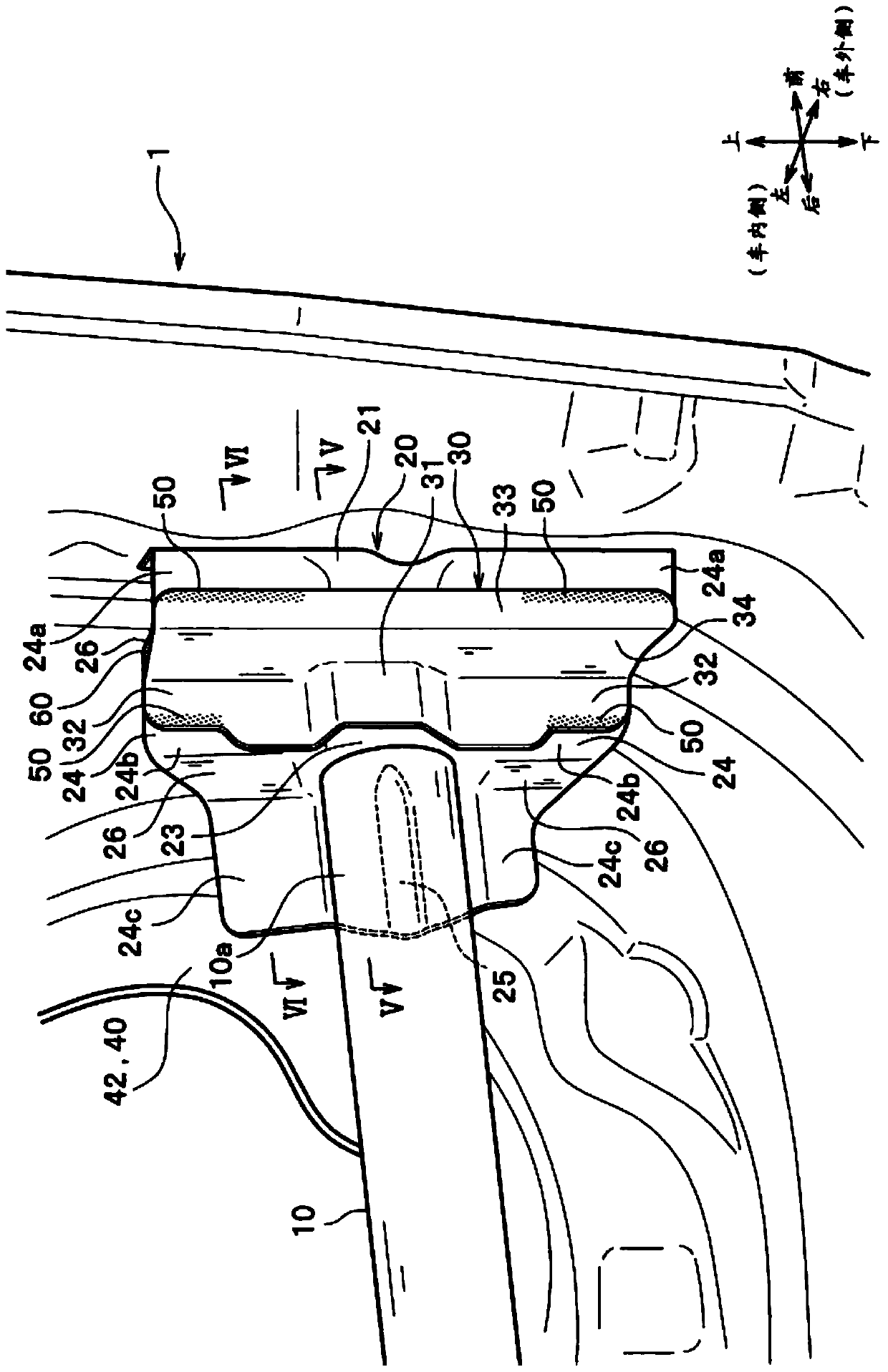 body structure