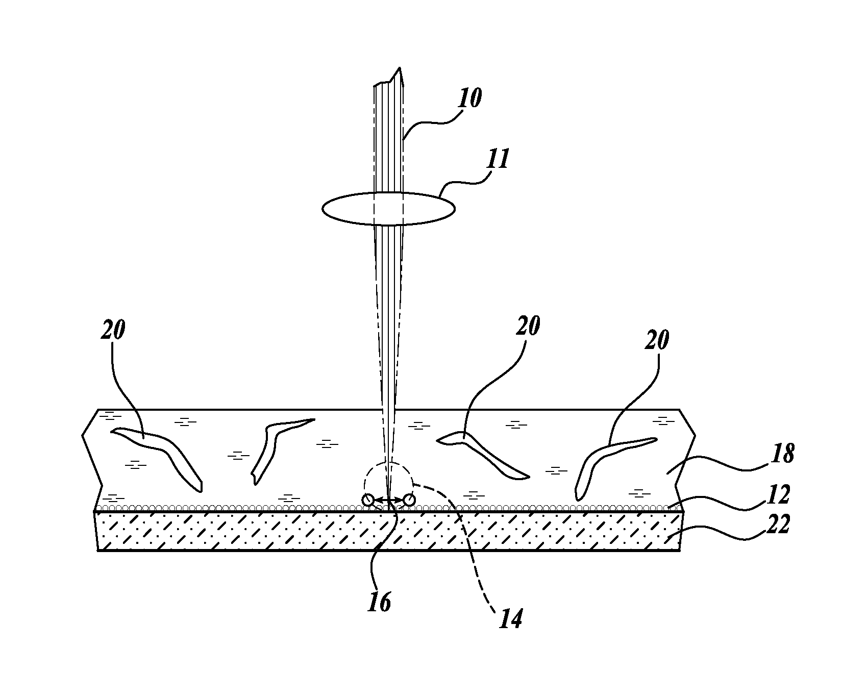 Trapping of micro and NANO scale objects based on localized surface plasmon