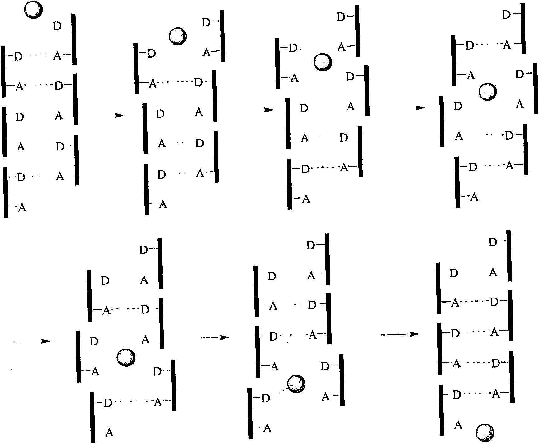 Method of modulating membrane potential of a cell