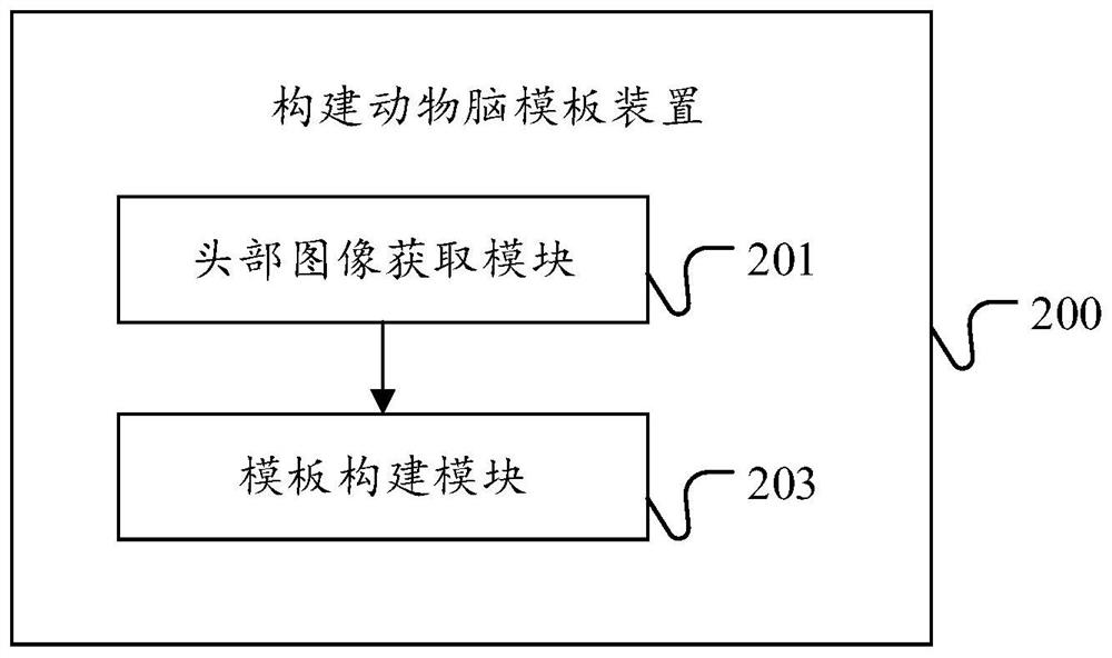 Method and device for constructing animal brain template