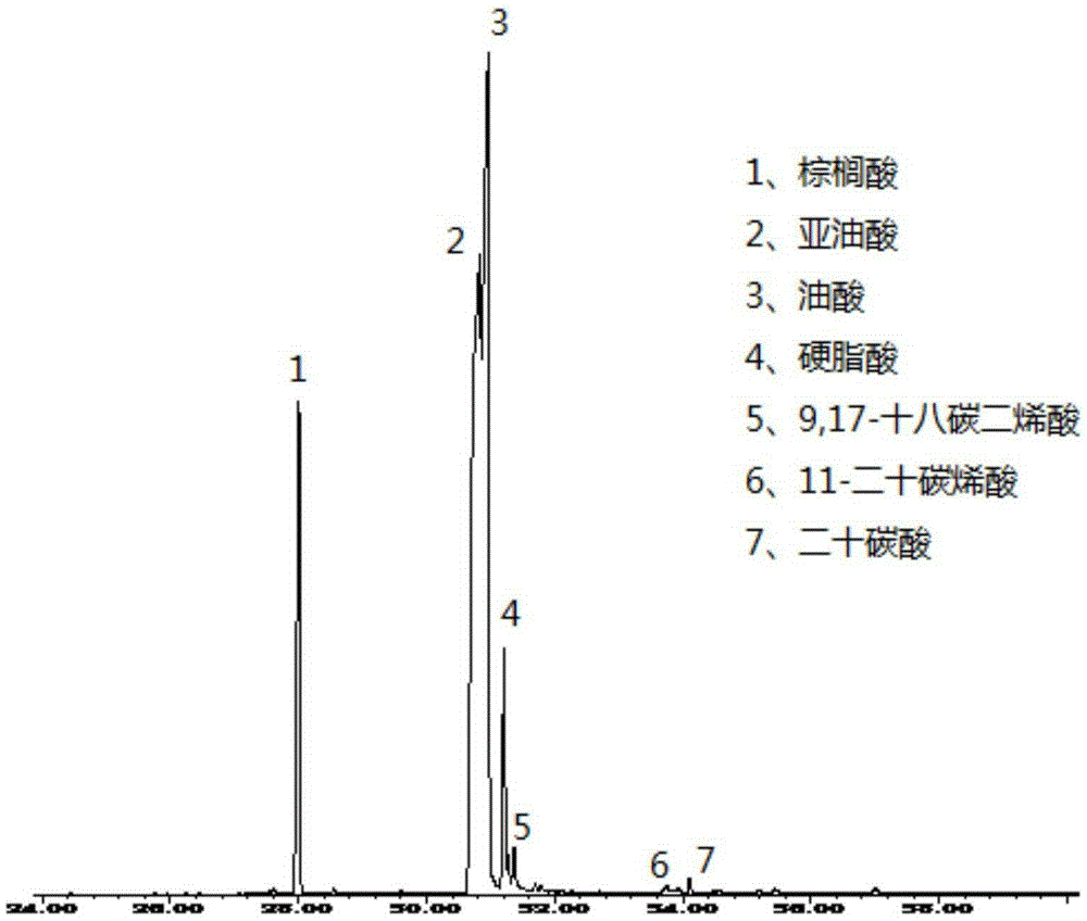 A kind of processing method and application of coptis seed oil