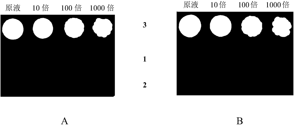 Tobacco AKT2/3 gene and application