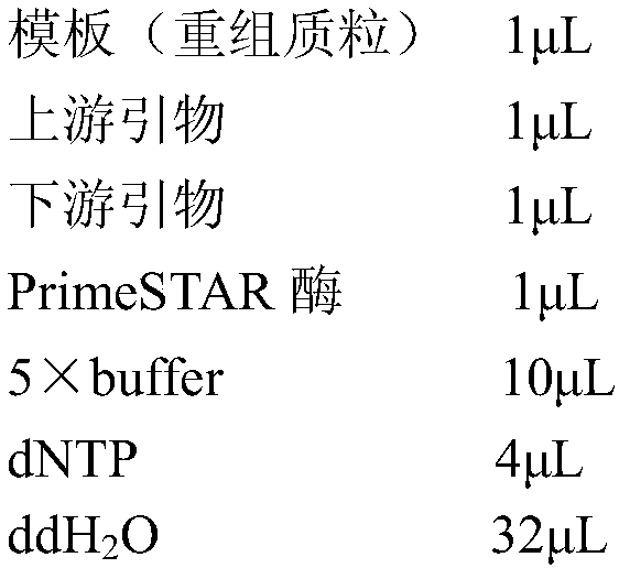 Vomitoxin degrading enzyme and gene thereof, preparation method and application, as well as vomitoxin degradation method