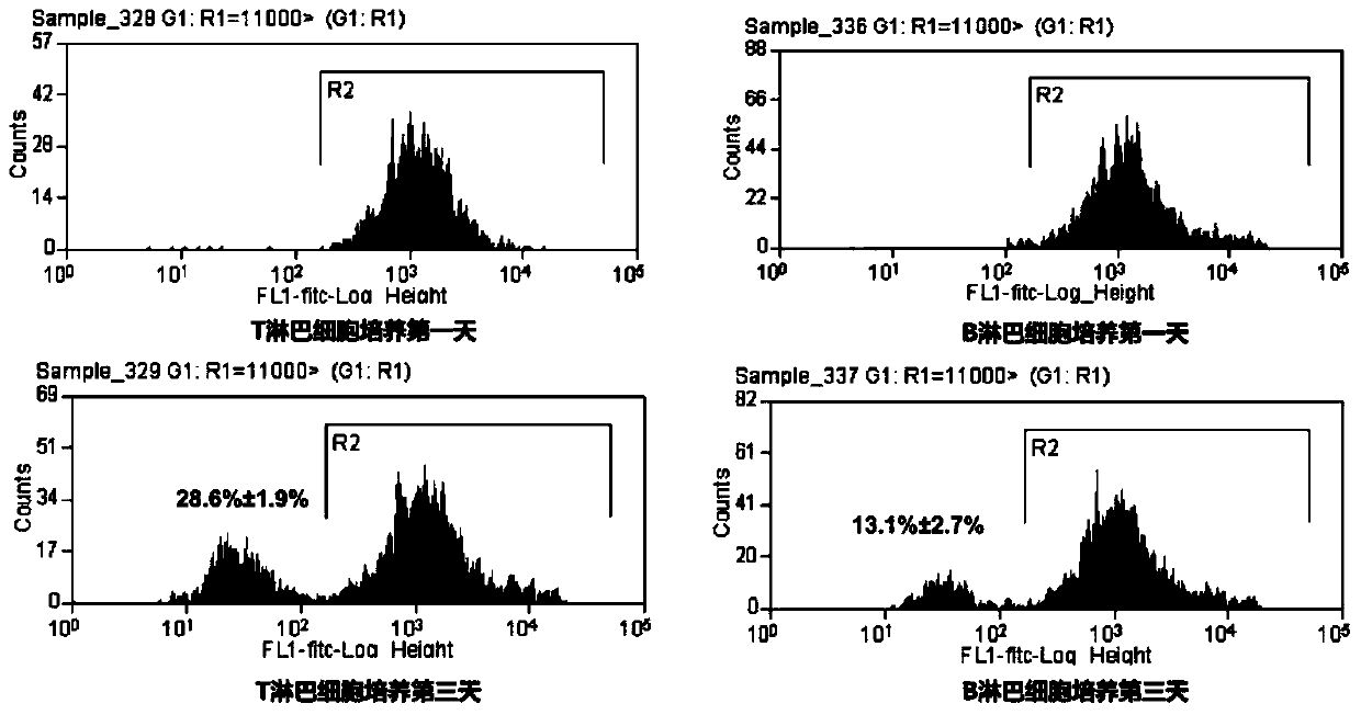 A method for simultaneously isolating peripheral blood t and b lymphocytes