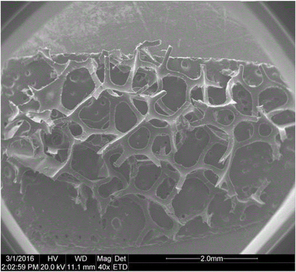 Bacterial cellulose foam fermentation method