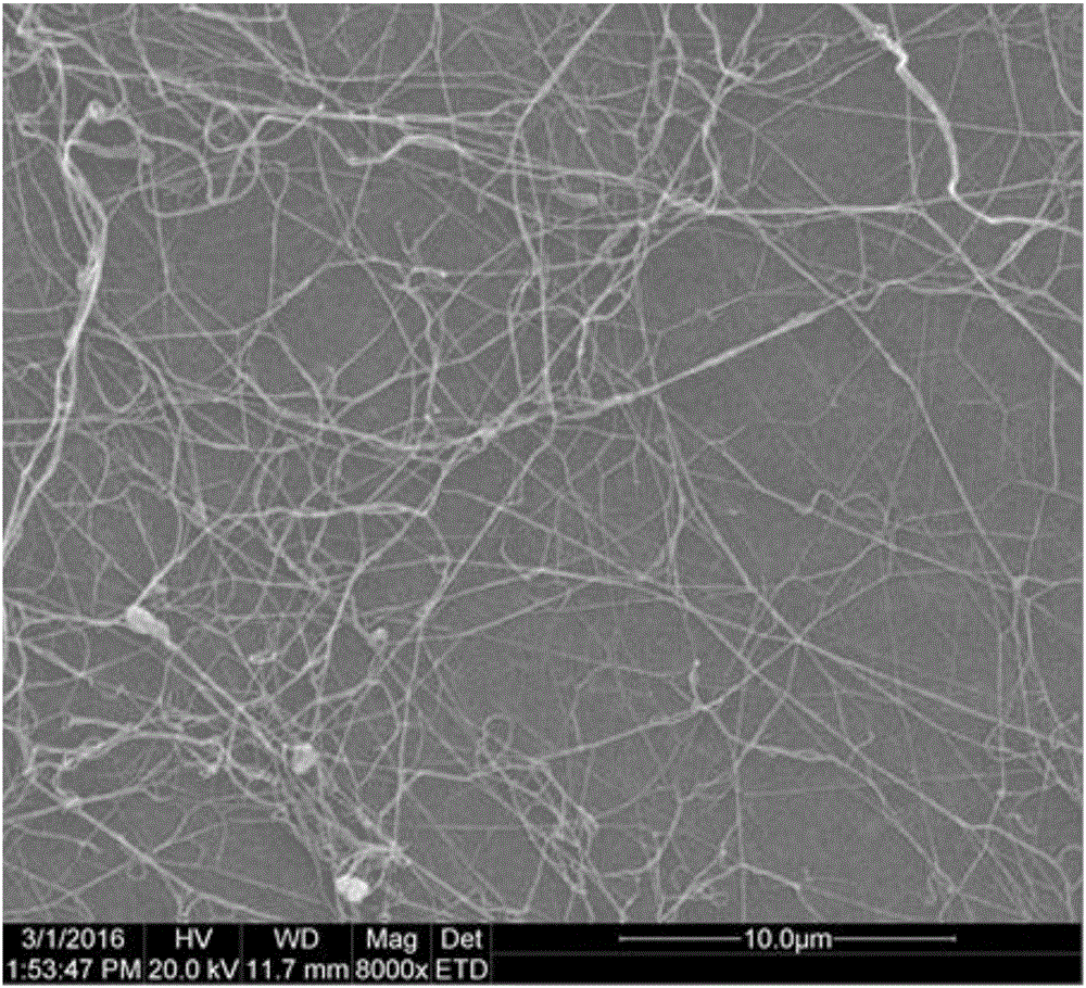 Bacterial cellulose foam fermentation method