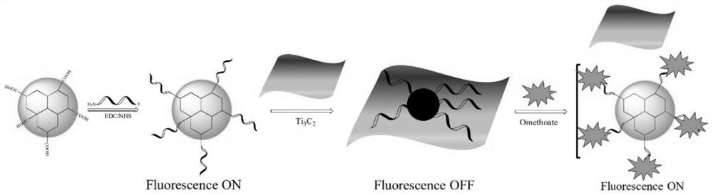 Quantum dot-MXene fluorescence sensor as well as preparation method and application thereof