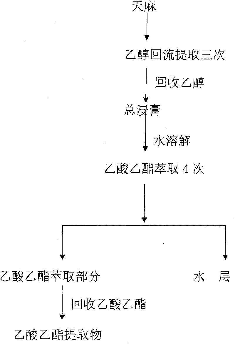 Medicinal application of ethyl acetate extracts from Gastrodia elata Blume in treating ischemic cerebrovascular disease