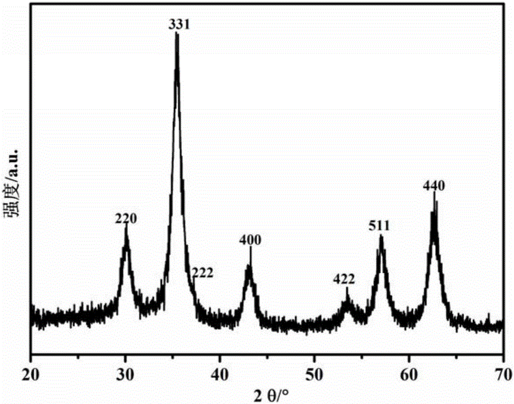 Immunomagnetic bead for peripheral blood lymphocyte separation and preparation and application thereof